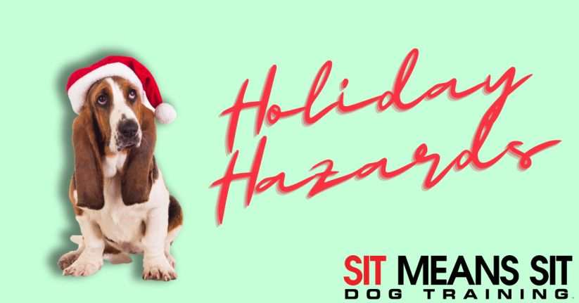 Keep These Holiday Hazards Away from Fido