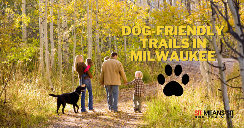 Dog-Friendly Trails in Milwaukee