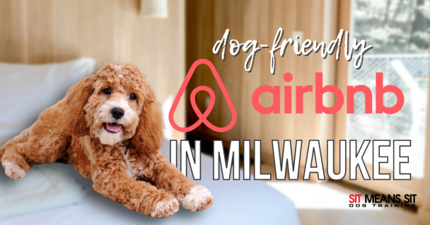 dog friendly Airbnb's in Milwaukee