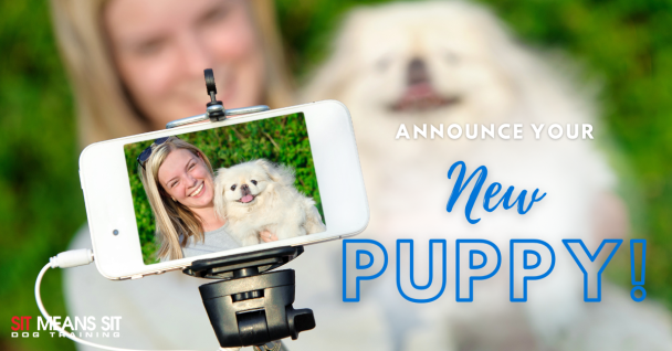 announce you new puppy poster