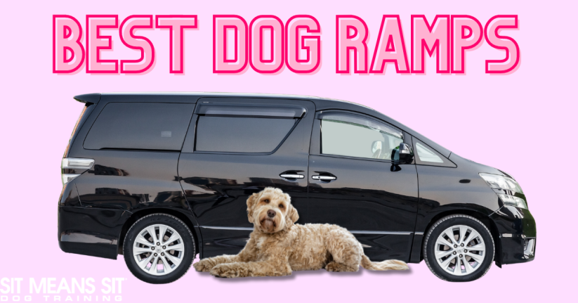 The Best Dog Ramps for Your Vehicle