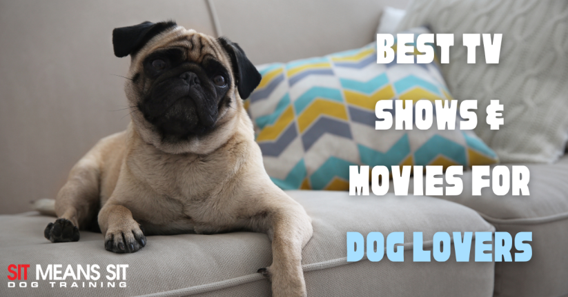 The Best TV Shows & Movies for Dog Lovers