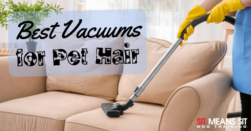 The Best Vacuums for Dog Hair in 2024