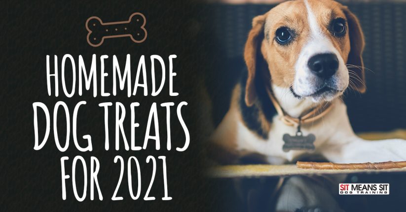 Homemade Dog Treats 2021