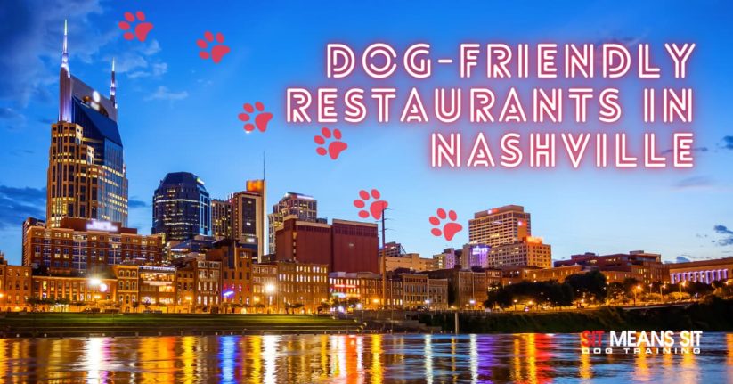 The Best Dog-Friendly Restaurants in Nashville