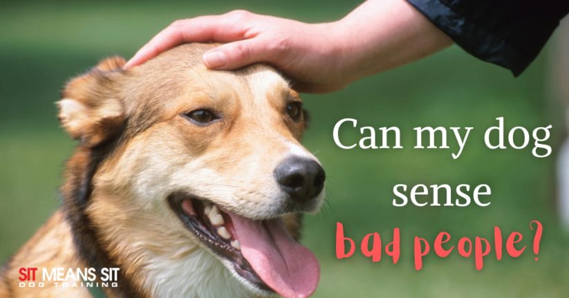 Can Dogs Sense “Bad” People?