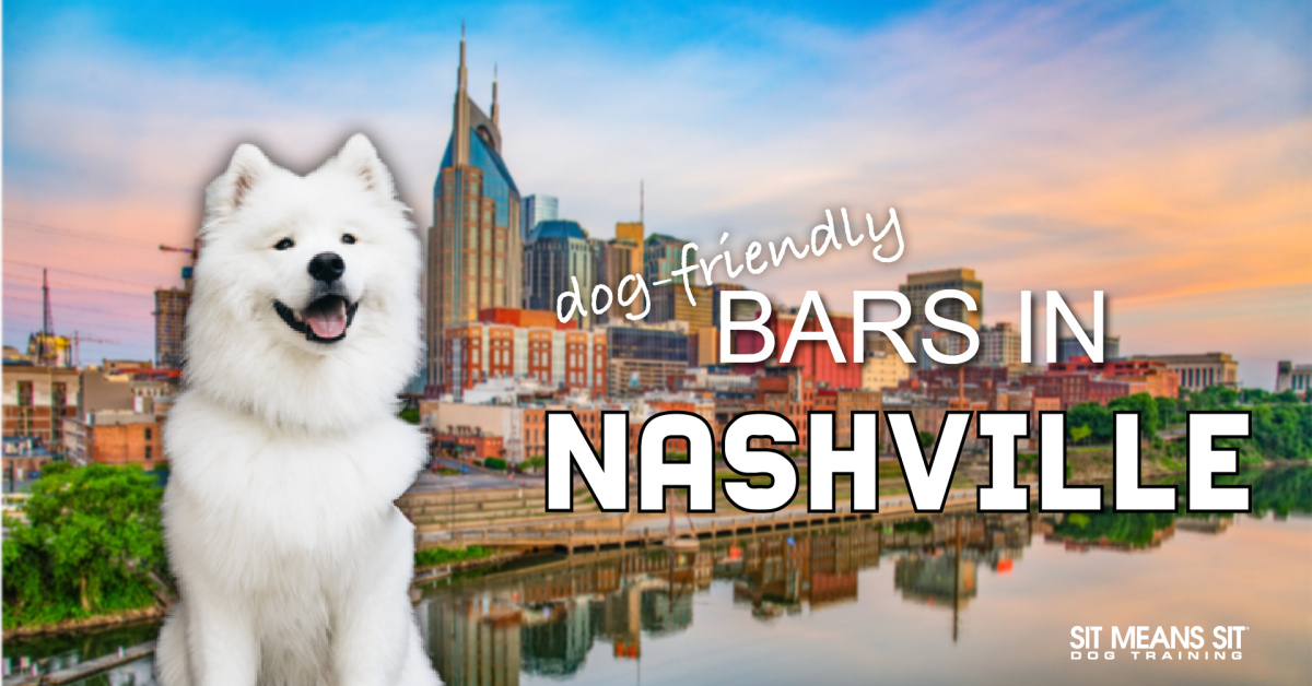 A white dog smiling with the text dog friendly bars in Nashville
