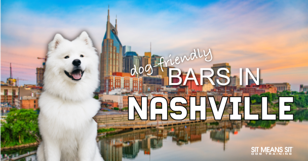 A white dog smiling with the text dog friendly bars in Nashville