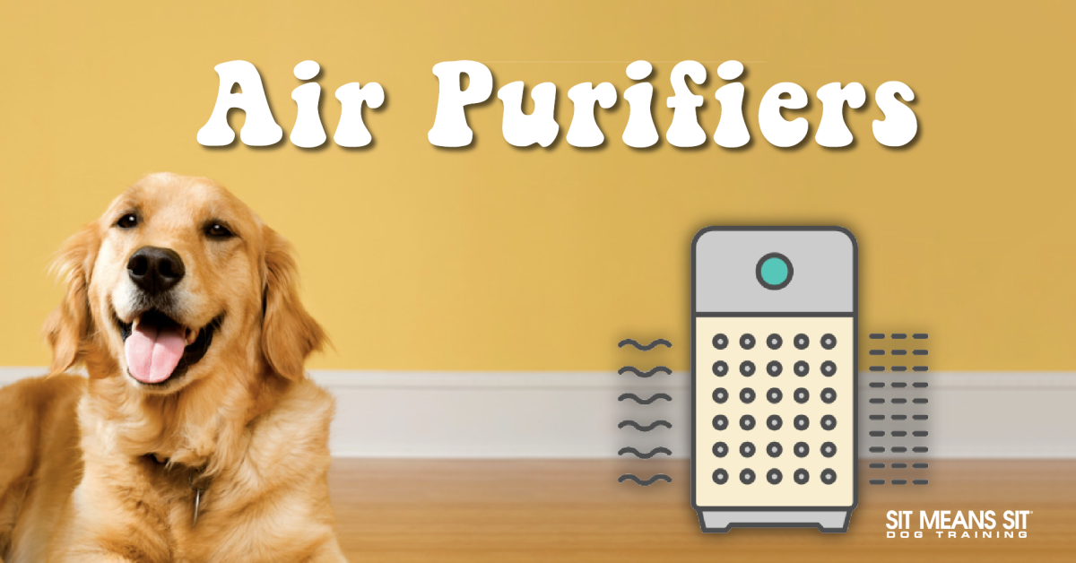 A happy golden retriever with the text Air purifier poster