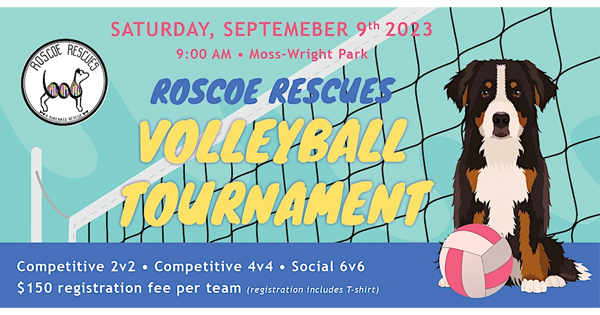 Roscoe Rescues Volleyball Tournament