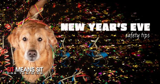 New Year’s Eve Safety Tips for Dog Owners