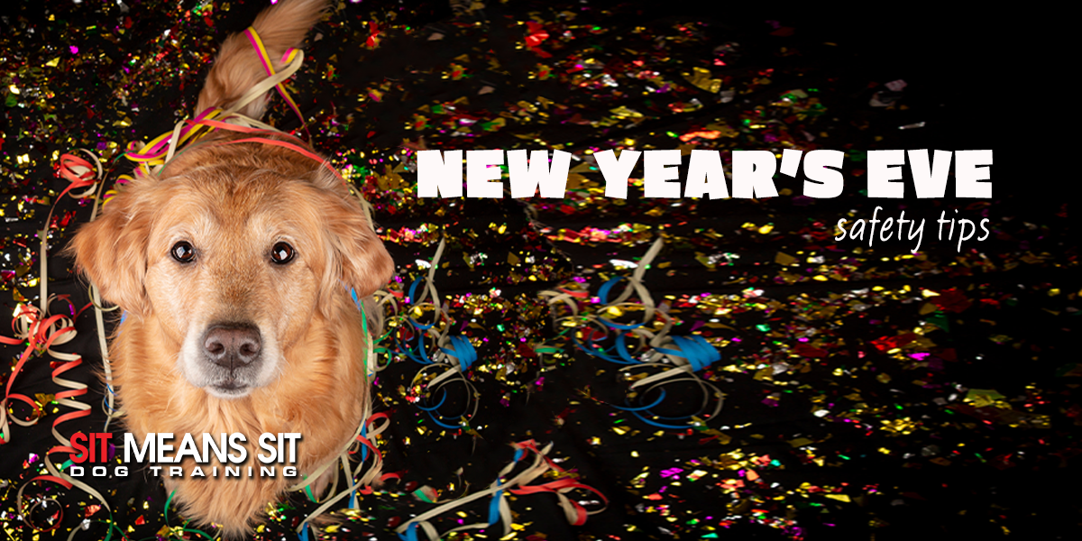 New Year's Eve Safety Tips For Dog Owners