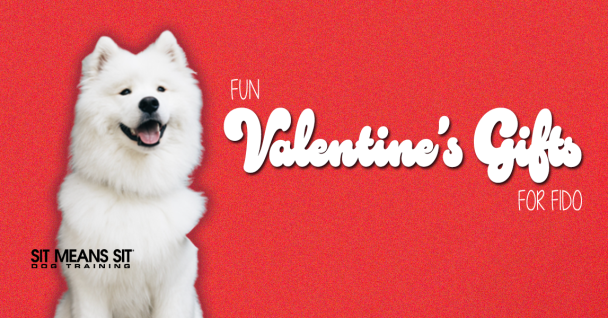 Fun Valentine's Gifts For Your Furry Friend