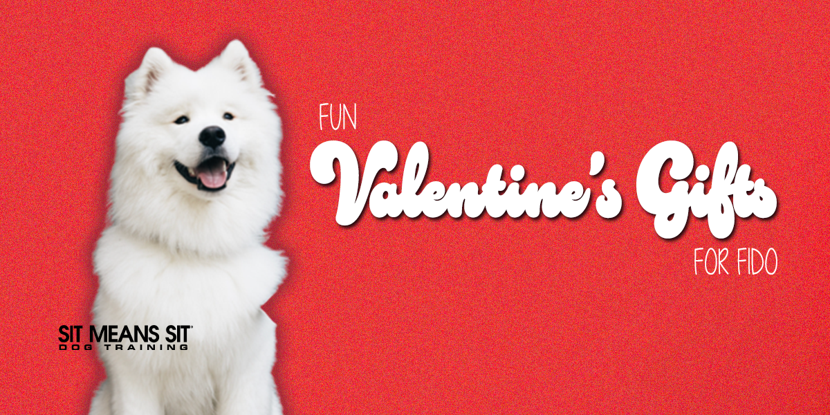 Fun Valentine's Gifts For Your Furry Friend