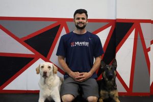 head trainer with two dogs at our dog board and train facility in south jersey
