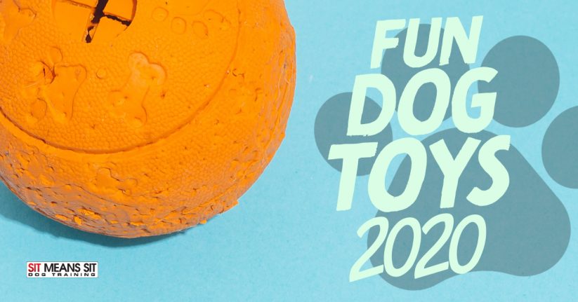 Fun Dog Toys 2020