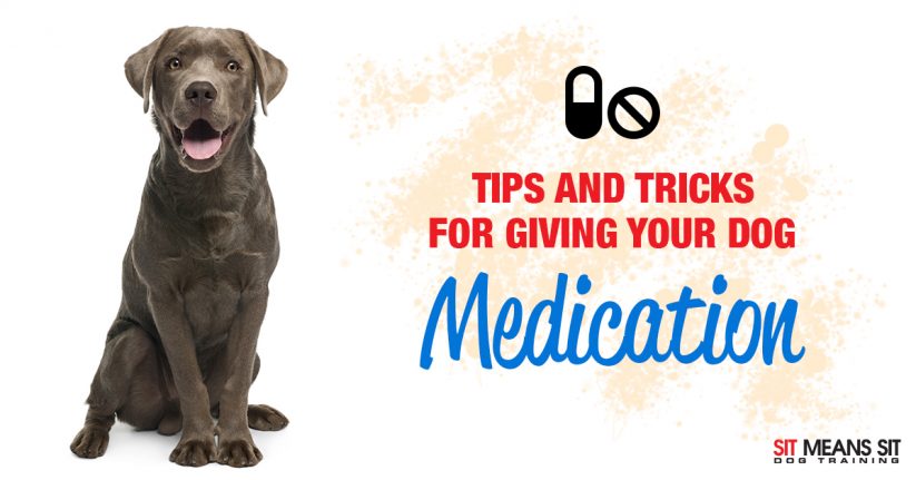 Helpful Tips and Tricks for Giving Your Pet Medication