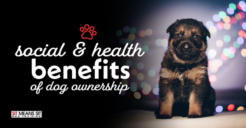 Social & Health Benefits of Dog Ownership