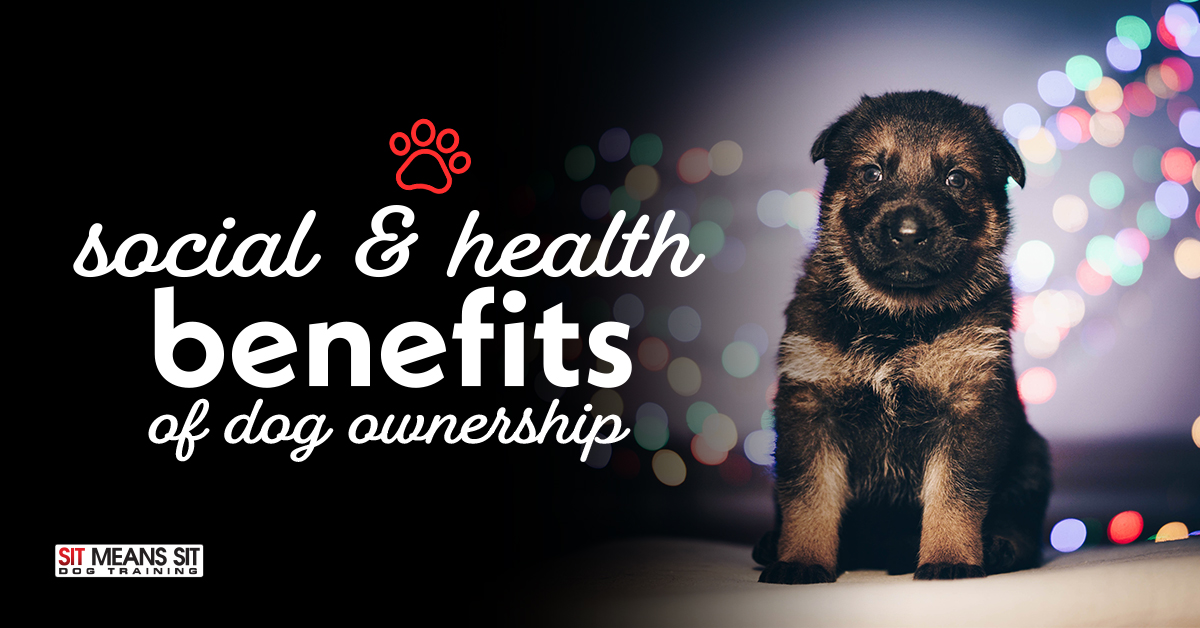 Social & Health Benefits of Dog Ownership