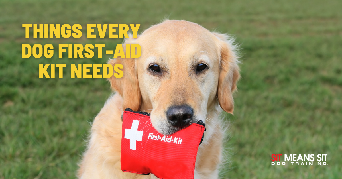 Things Every Dog First-Aid Kit Needs