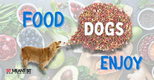 What Food Do Dogs Enjoy the Most?