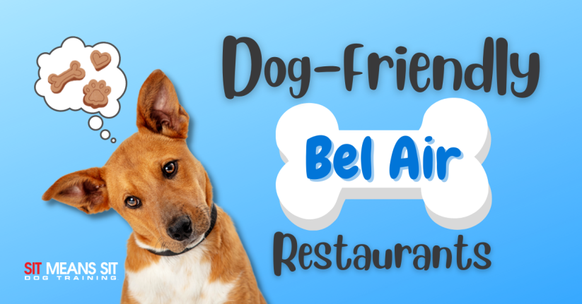 Dog-Friendly Restaurants in Bel Air