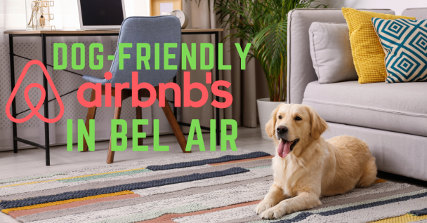 dog friendly Airbnb's bel air poster with a dog sitting indoors on a carpet panting