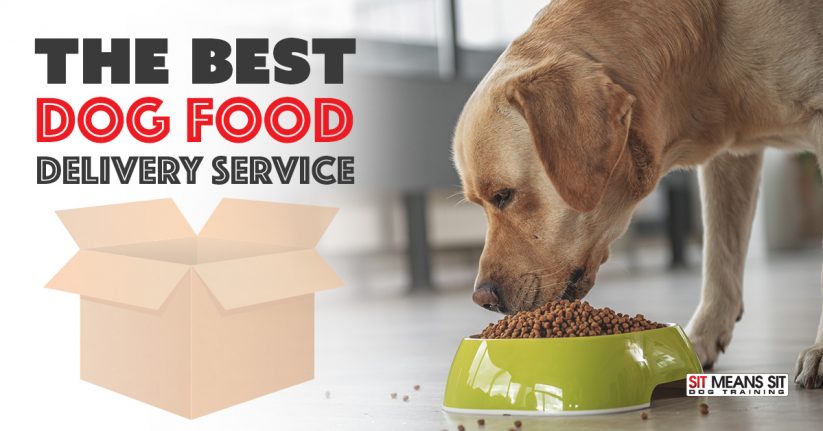 Choosing the Best Dog Food Delivery Service