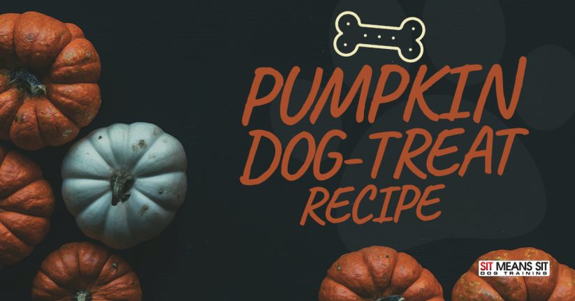 Pumpkin Dog Treat Recipe