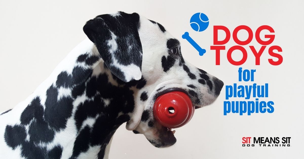 Dog Toys for Playful Puppies