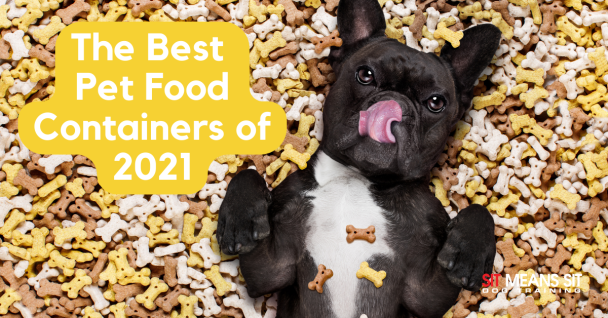 The Best Dog Food Containers of 2021