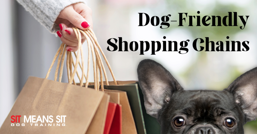 A person holds shopping bags while a dog looks on, promoting dog-friendly shopping chains.