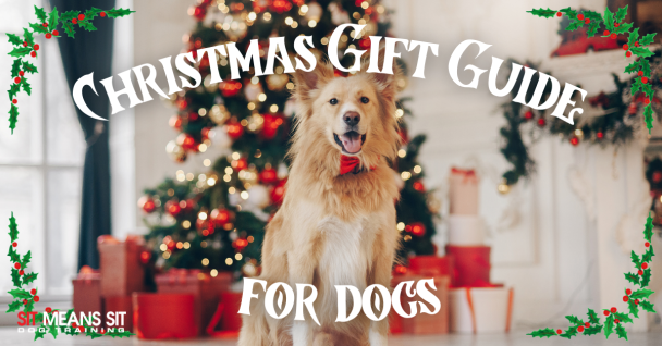 A golden retriever stands in front of a decorated Christmas tree, with text overlay: “Christmas Gift Guide for Dogs.”