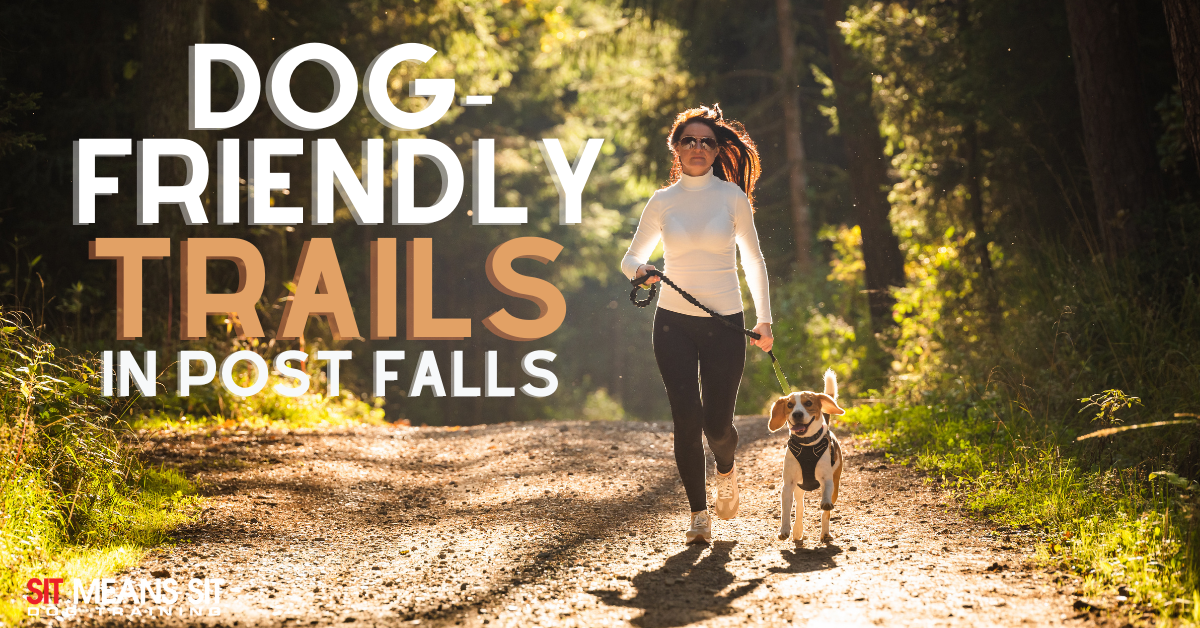 A woman runs with her dog on a sunlit trail, with text overlay about dog-friendly trails in Post Falls.