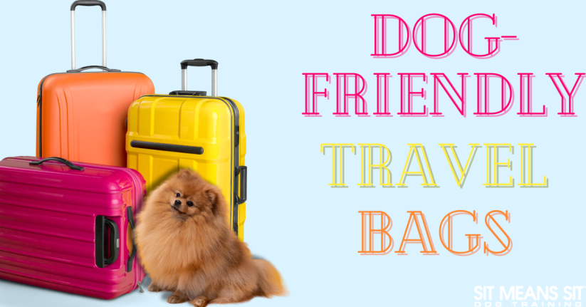 The Best Travel Bags for Dog Owners
