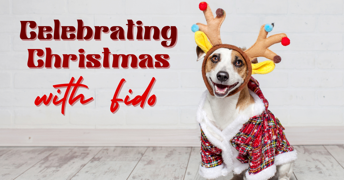 A festive dog wearing a Santa outfit and reindeer antlers, with "Celebrating Christmas with Fido" text.
