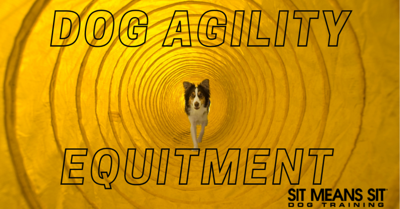 The Best Agility Equipment for Your High-Energy Pup
