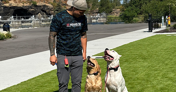 A person stands on grass with two dogs, one brown and one white, enjoying a sunny day.