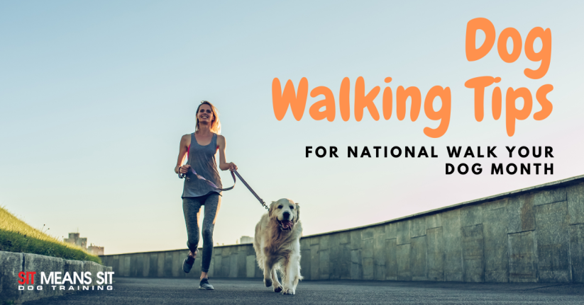 A woman walks a dog on a path, promoting dog walking tips for National Walk Your Dog Month.