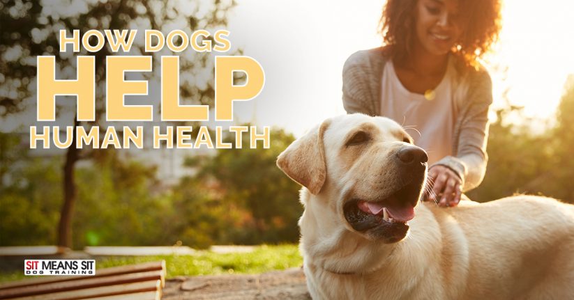 A woman gently pets a dog outdoors, with the text "How Dogs Help Human Health" prominently displayed.
