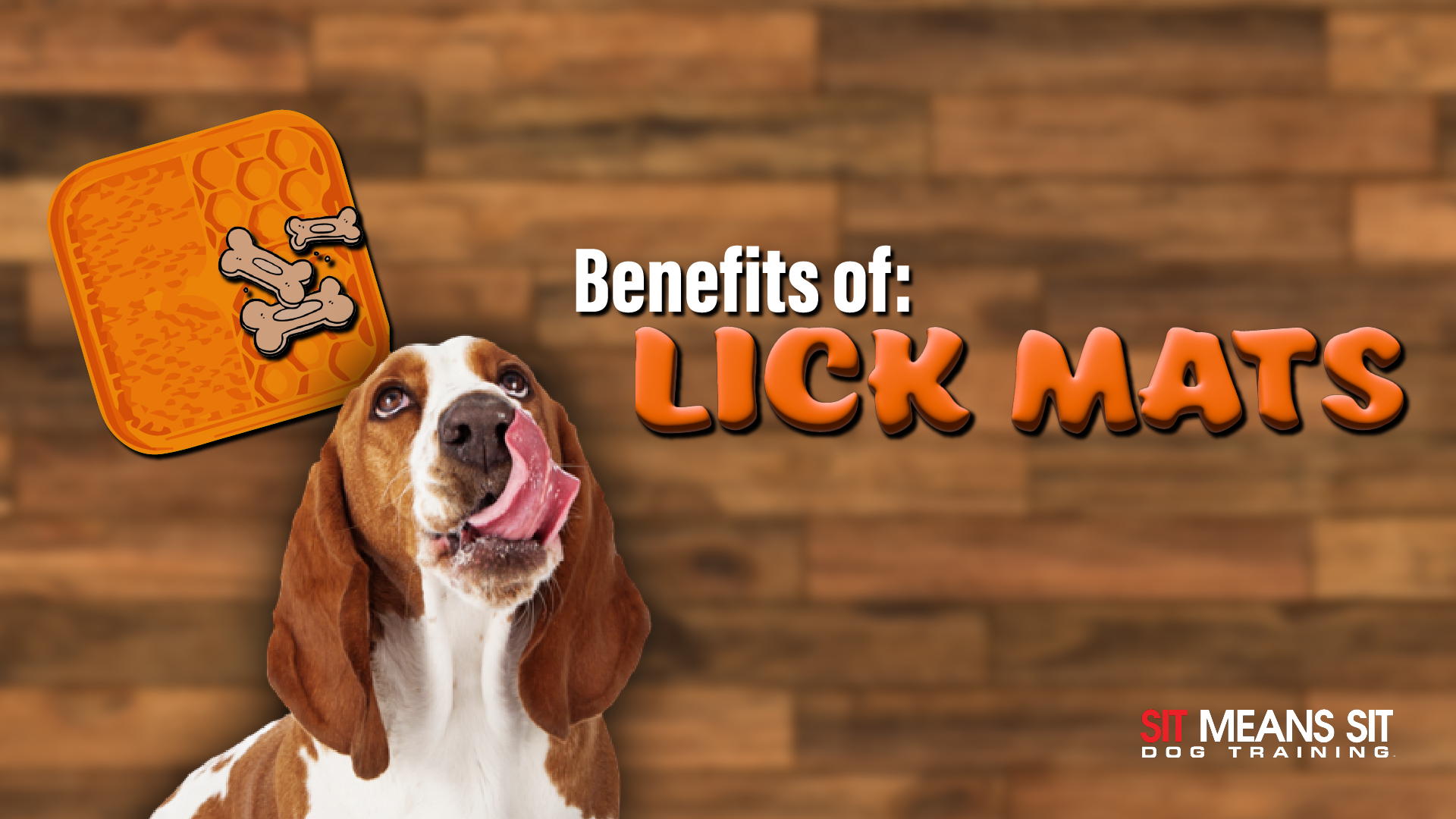 https://sitmeanssit.com/dog-training-mu/north-metro-dog-training/files/the-benefits-of-using-lick-mats-for-your-dog.png