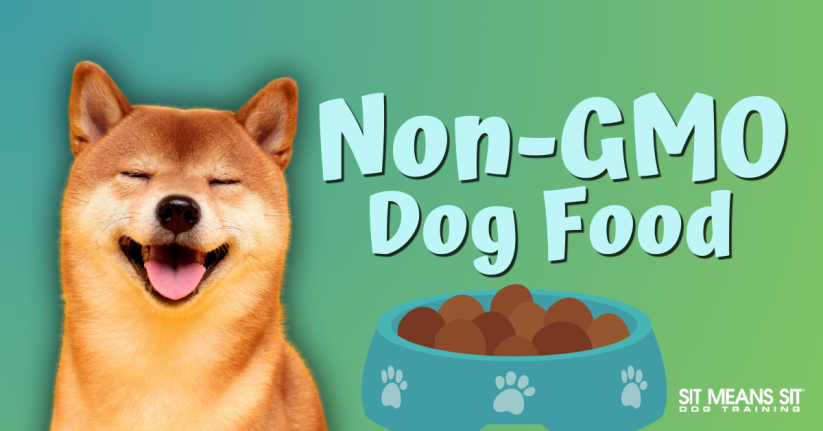 The Best Non-GMO Dog Food