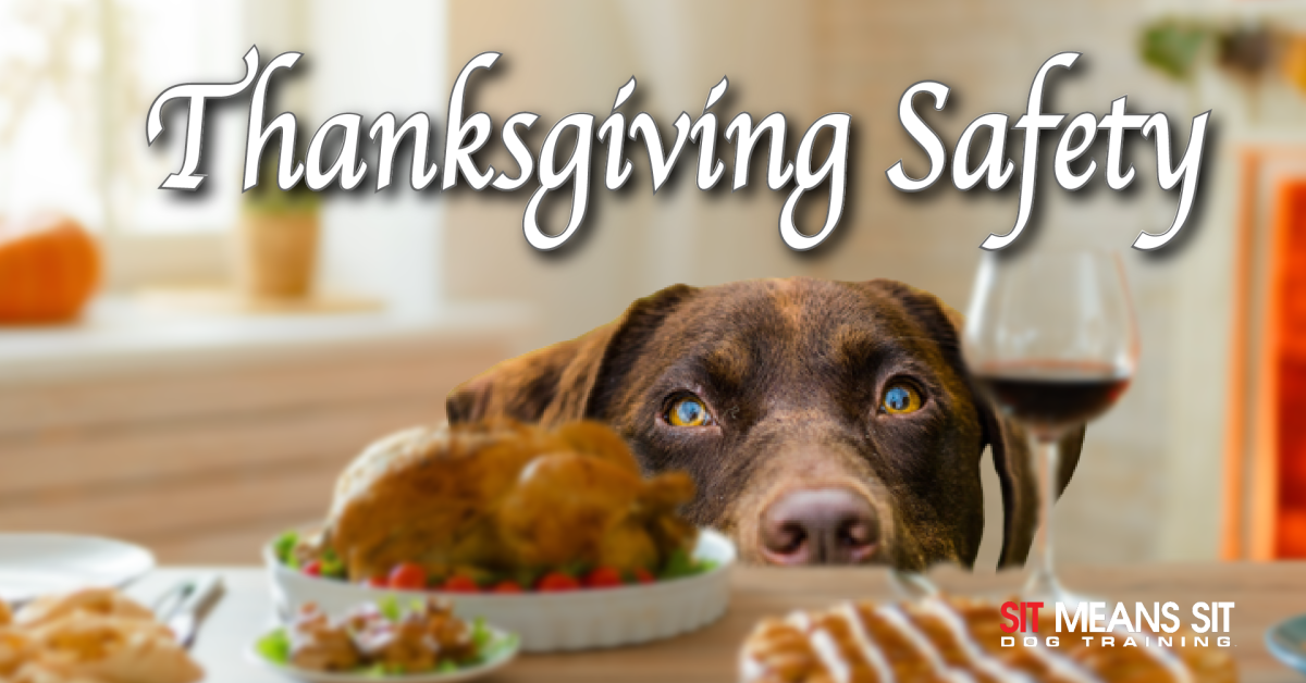 A dog peeks over a table filled with Thanksgiving food, with text reading "Thanksgiving Safety."