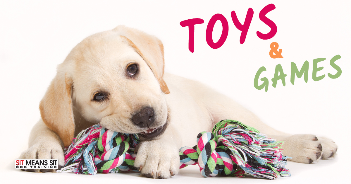Toys & Games to Play with Your Puppy
