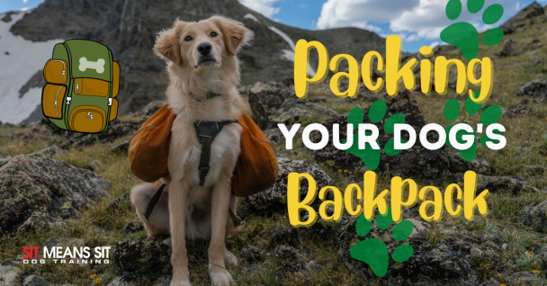 A dog wearing a backpack sits on a rocky surface, with text about packing a dog's backpack.
