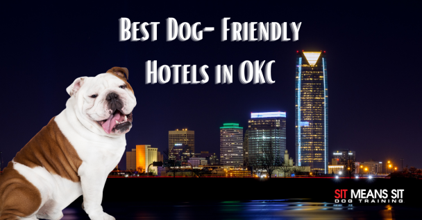 Best Dog-Friendly Hotels in OKC