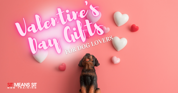 A dog looking at hearts on the wall with the text "Valentine's day gifts for dog lovers"