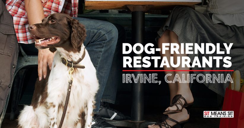 Irvine California Dog-Friendly Restaurants