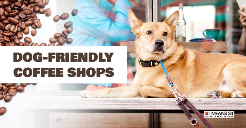 Irvine Coffee Shops that are Dog-Friendly