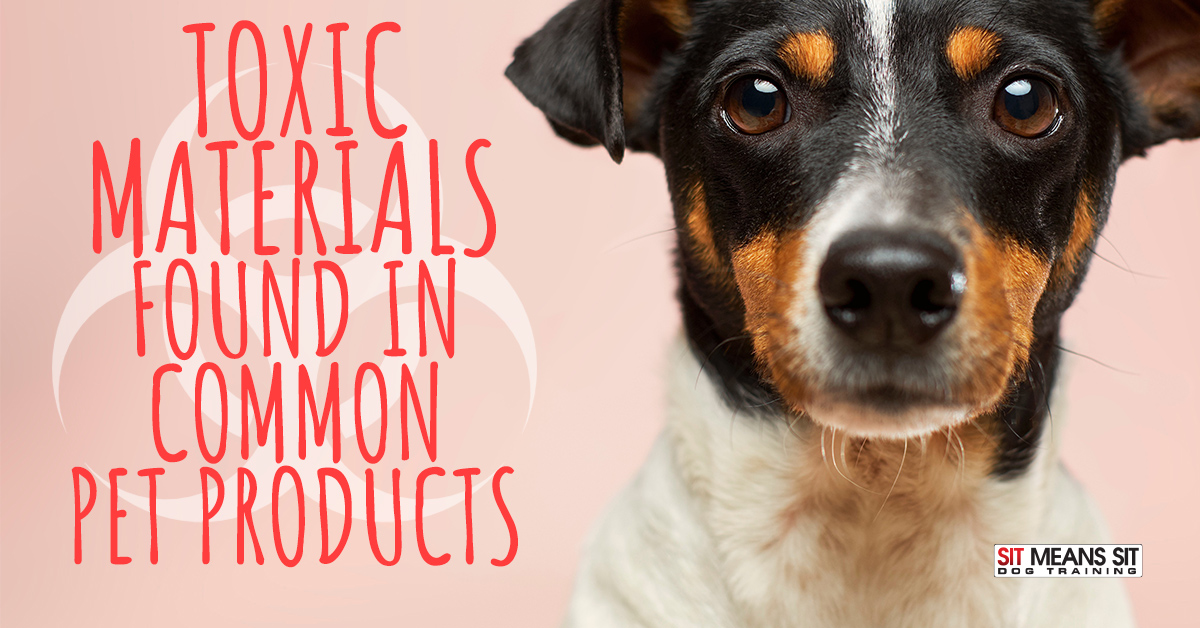 Toxic Materials Found in Common Pet Products (and How to Avoid Them)